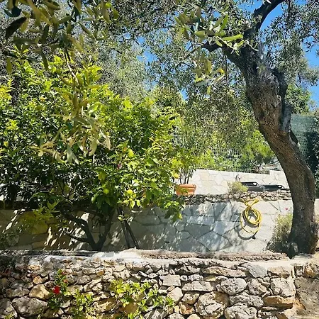 Casa Marina * Tellaro